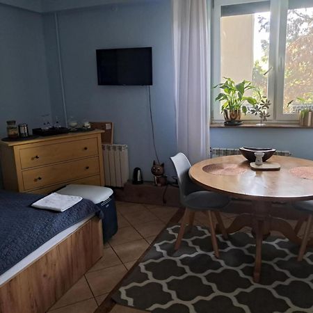 Cottage Room- Agroturystyka Strzegowo-Osada Buitenkant foto