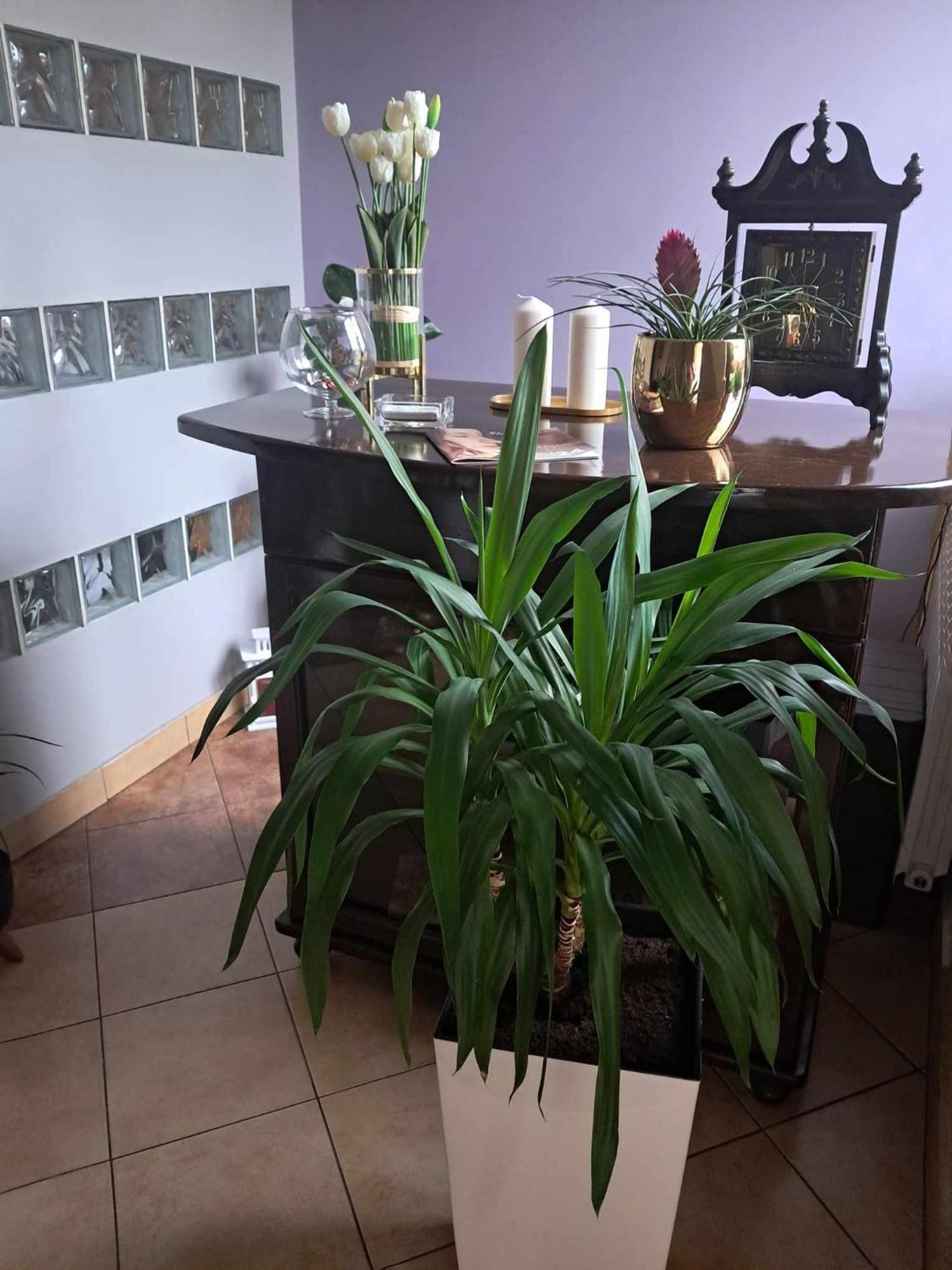 Cottage Room- Agroturystyka Strzegowo-Osada Buitenkant foto